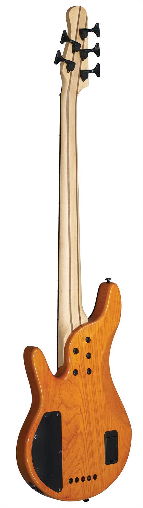 Pinnacle 5-String Bass - Image 5