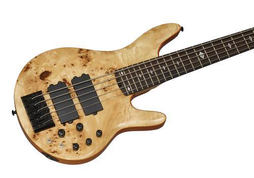 Pinnacle 5-String Bass - Image 6