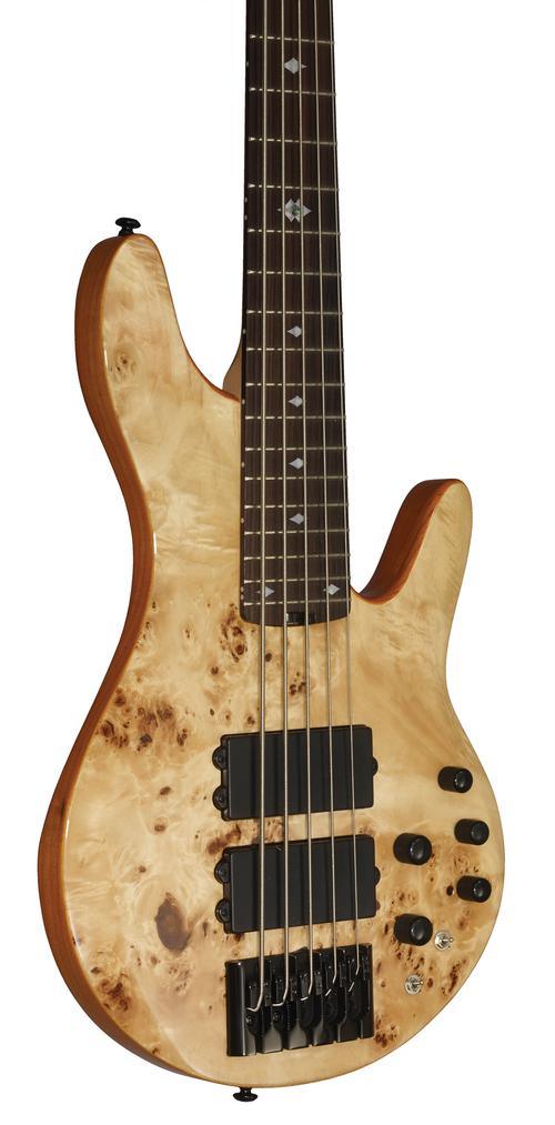 Pinnacle 5-String Bass - Image 7