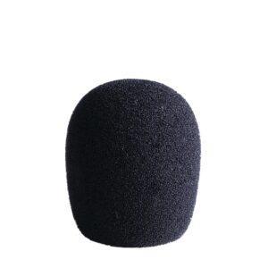 LCT 40 Ws Windscreen