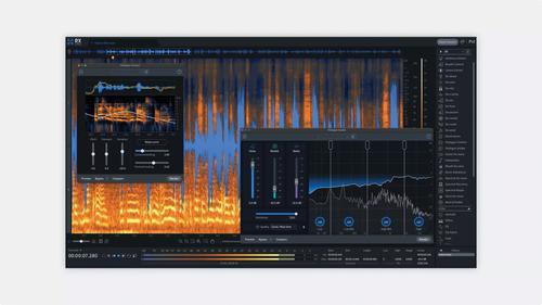 RX 11 Advanced: Crossgrade From Any Paid iZotope Product - Image 2