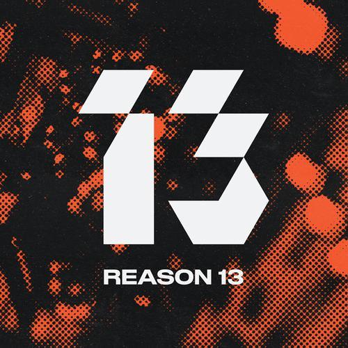 Reason 13 Perpetual License - Image 2