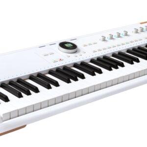 Arturia Astrolab 61-key Stage Keyboard