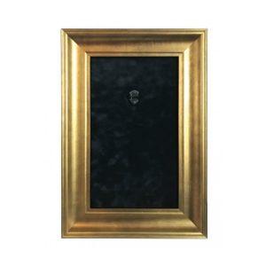 12 X 18 Mini Guitar Display Frame Black Suede Warm Gold Leafing