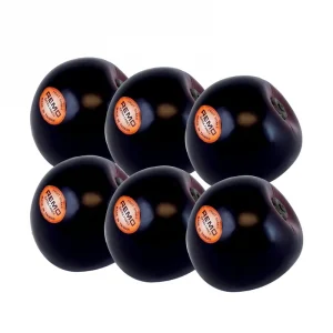 Remo Asia Fruit Style Hand Shakers - Plum (6-Piece Professional Set)
