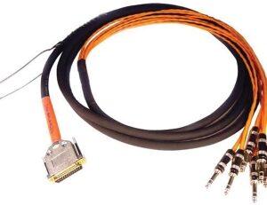 DB25-TRS Digisnake 12