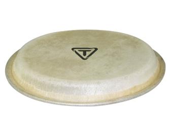 12 1/2“ Conga Replacement Head