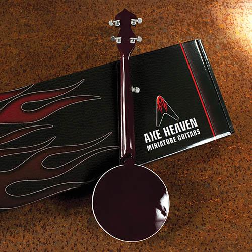 Classic Banjo With Rosewood Back Model - Image 4