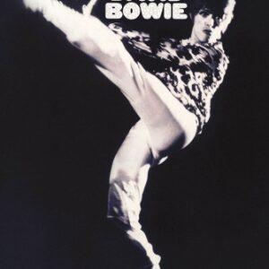 David Bowie – Man Who Sold The World – Wall Poster
