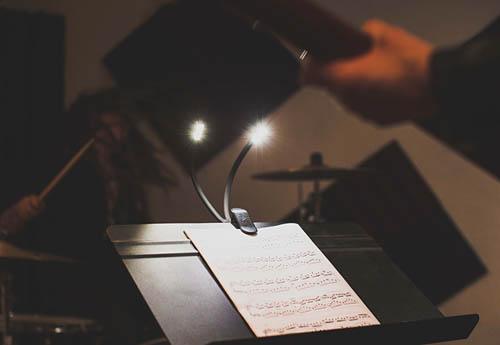 Duoflex LED Music Light - Image 5