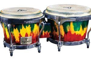 Master Palette Series Bongos