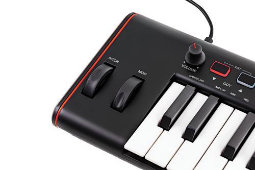 Irig Keys 2 - Image 4