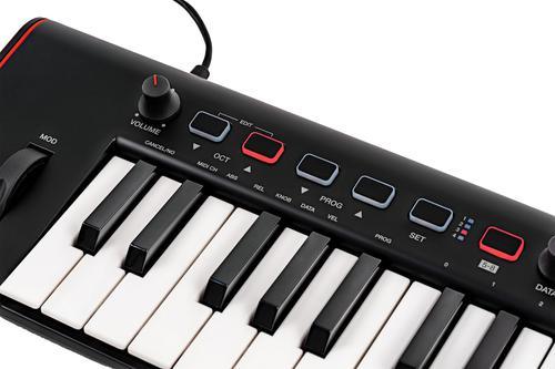 Irig Keys 2 - Image 6