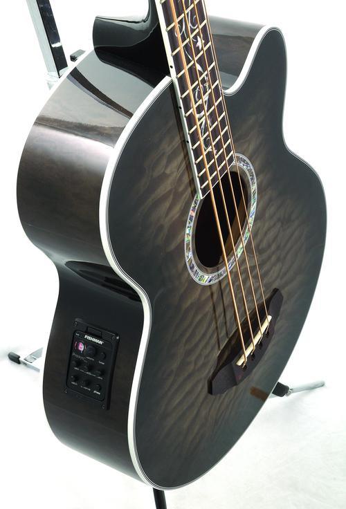 Dragonfly 4 Smoke Burst Acoustic Bass - Image 6