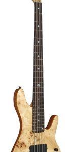 Pinnacle 5-string Bass
