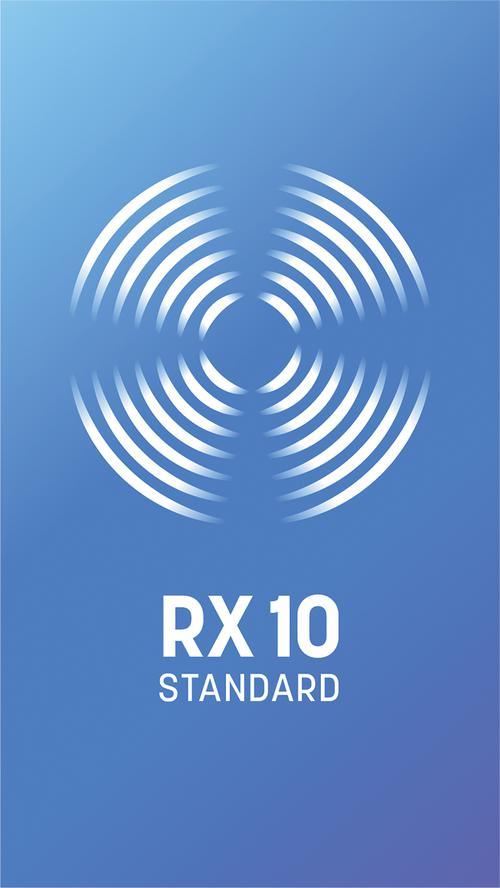 RX 10 Standard Download - Image 2