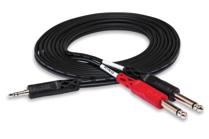 Stereo Breakout, 3.5 mm TRS to Dual 1/4 in. TS, 10 ft.
