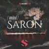 Mini Saron - Image 4