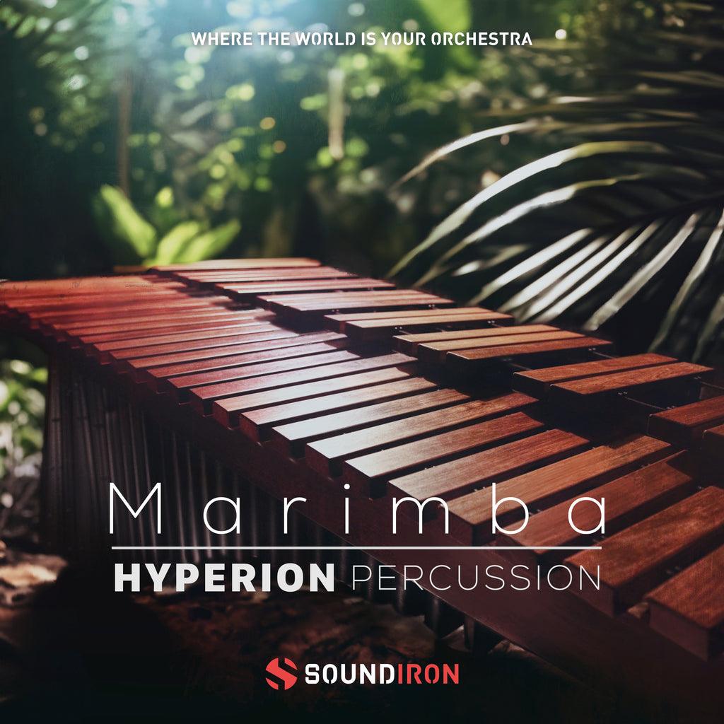 Hyperion Percussion: Marimba - Image 3