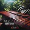 Hyperion Percussion: Marimba - Image 4