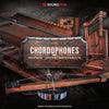 Hopkin Instrumentarium: Chordophones - Image 3