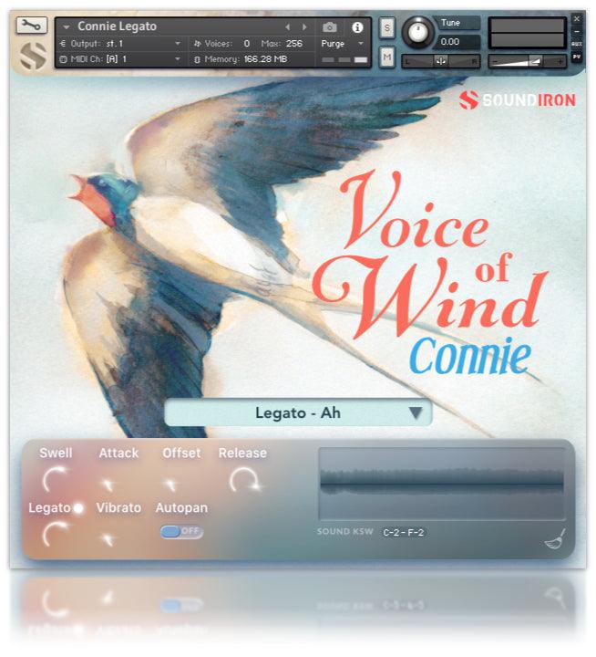 Voice Of Wind: Connie - Image 4