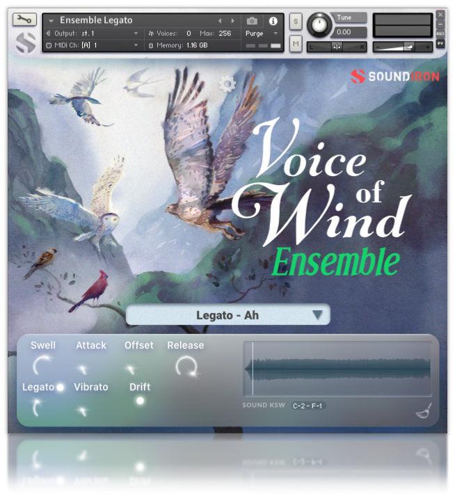 Voices Of Wind Collection - Image 4