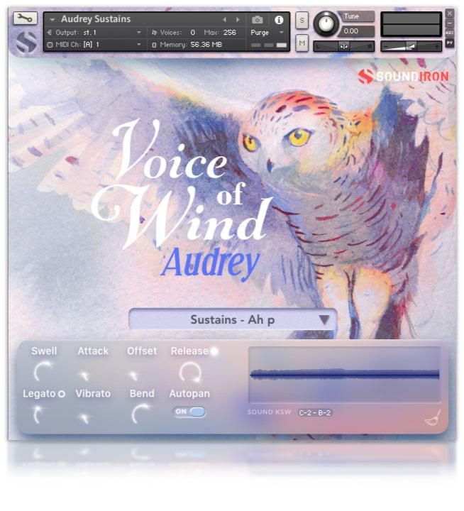 Voice Of Wind: Audrey - Image 4