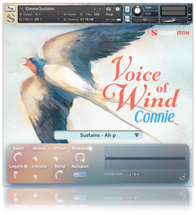 Voice Of Wind: Connie - Image 2