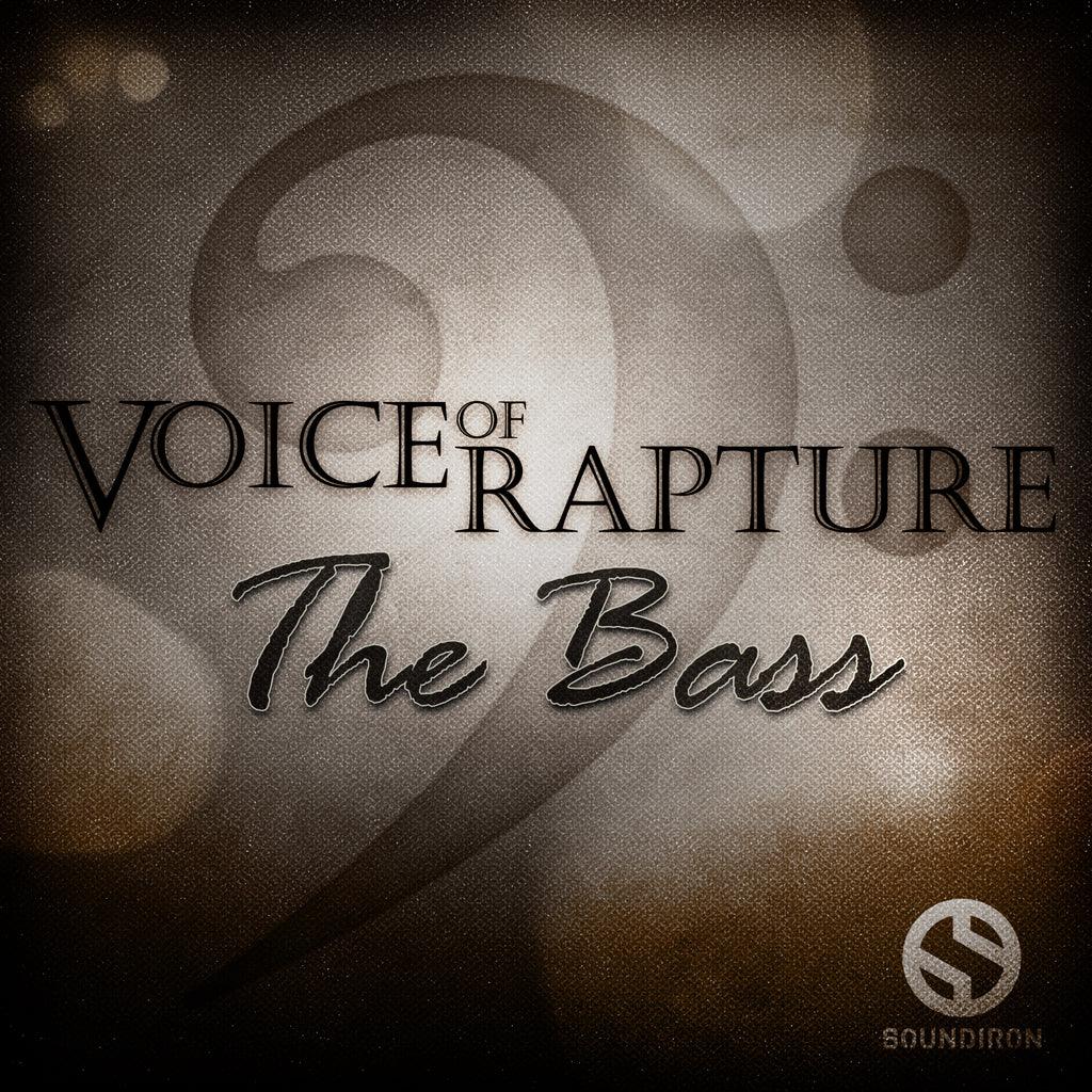 Voice Of Rapture: The Bass - Image 3