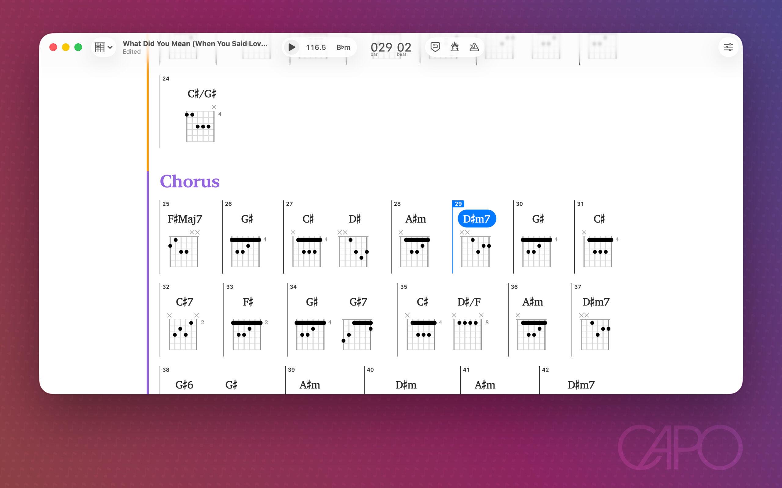 Capo Pro 4 - Image 5